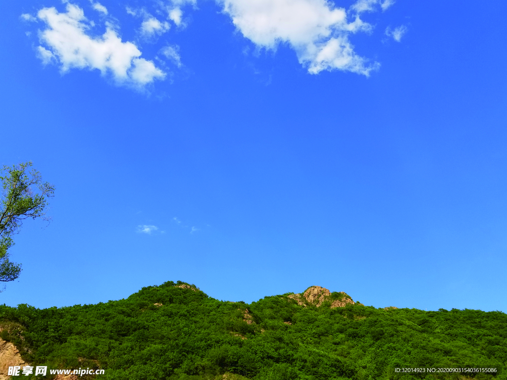 风景
