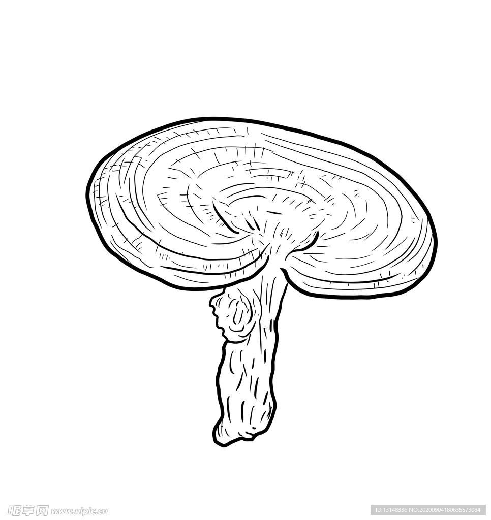灵芝