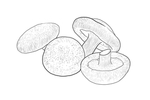 香菇
