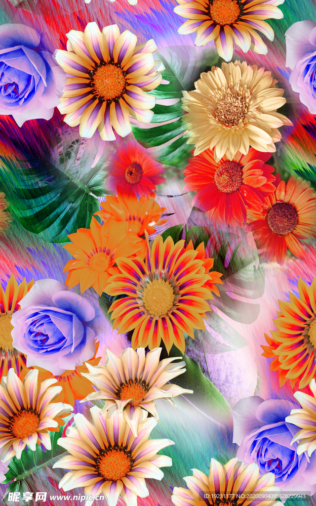 太阳花