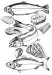三文鱼食材海鲜刺身