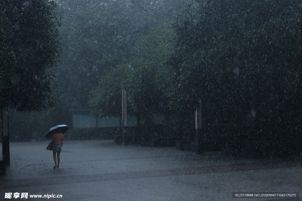 暴雨