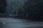 暴雨