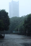 暴雨