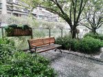 樱花休息椅