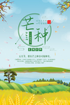 芒种