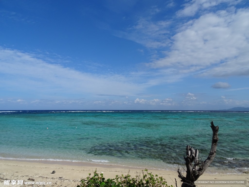 大海美景