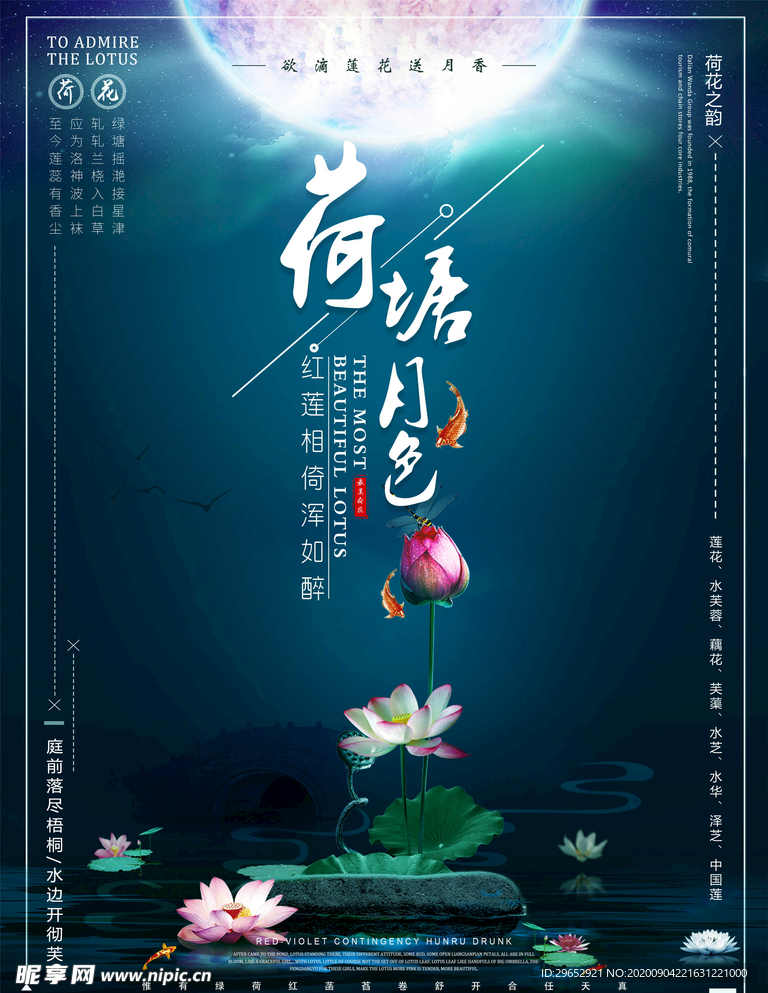 荷花