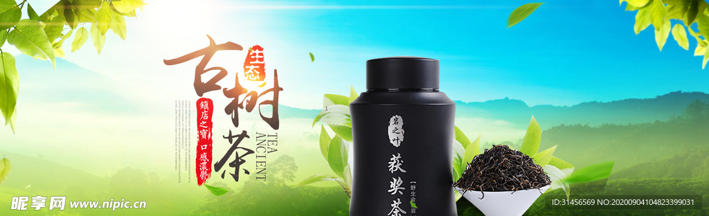 古树茶