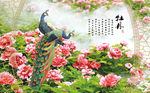 花鸟画 孔雀 背景墙