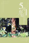 5月你好