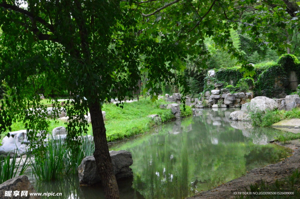 园林风景