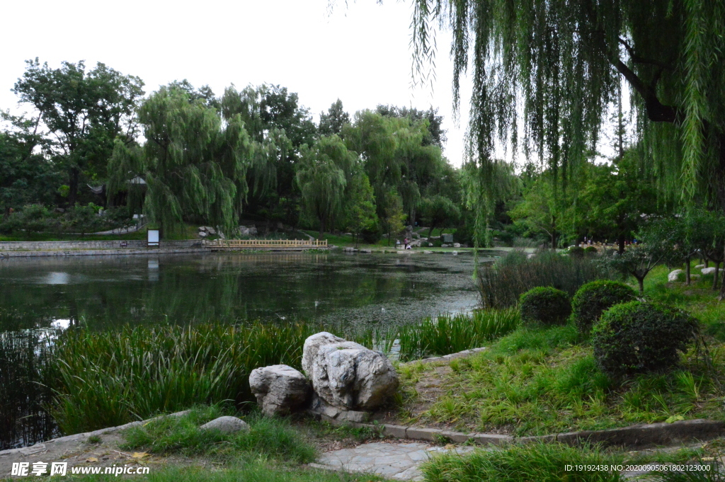 园林风景