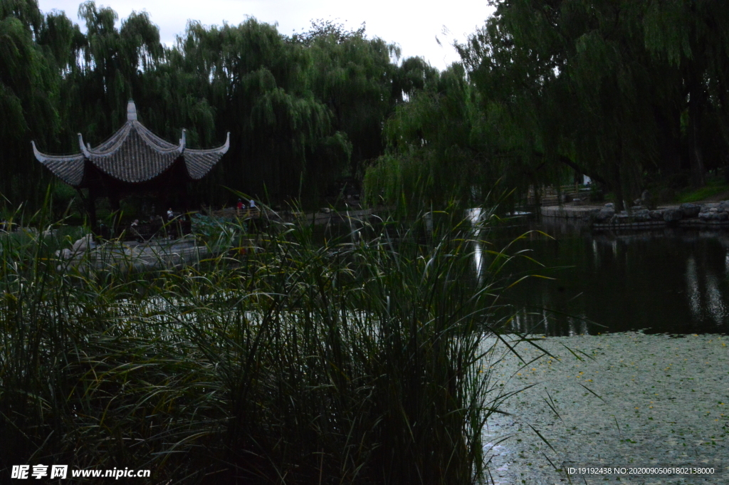 园林风景