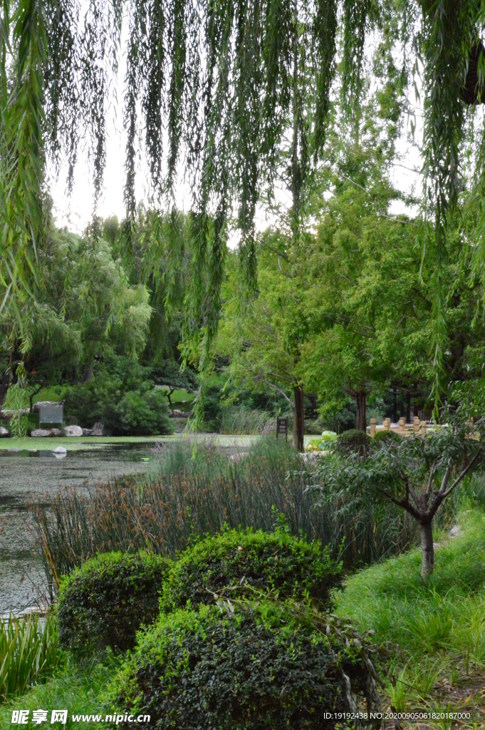 园林风景