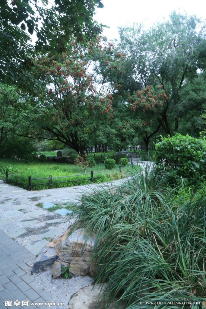 园林风景