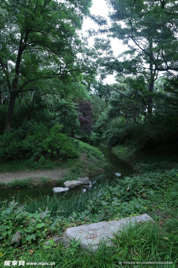 园林风景