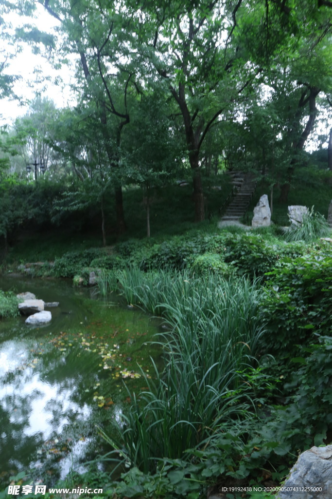 园林风景