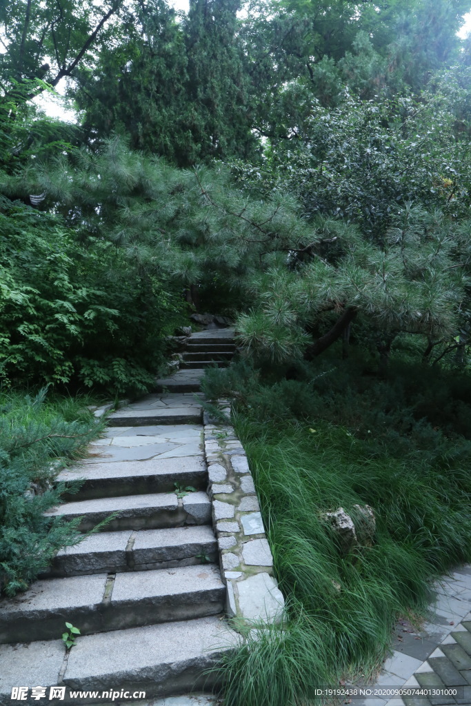 园林风景
