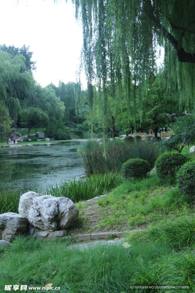 园林风景