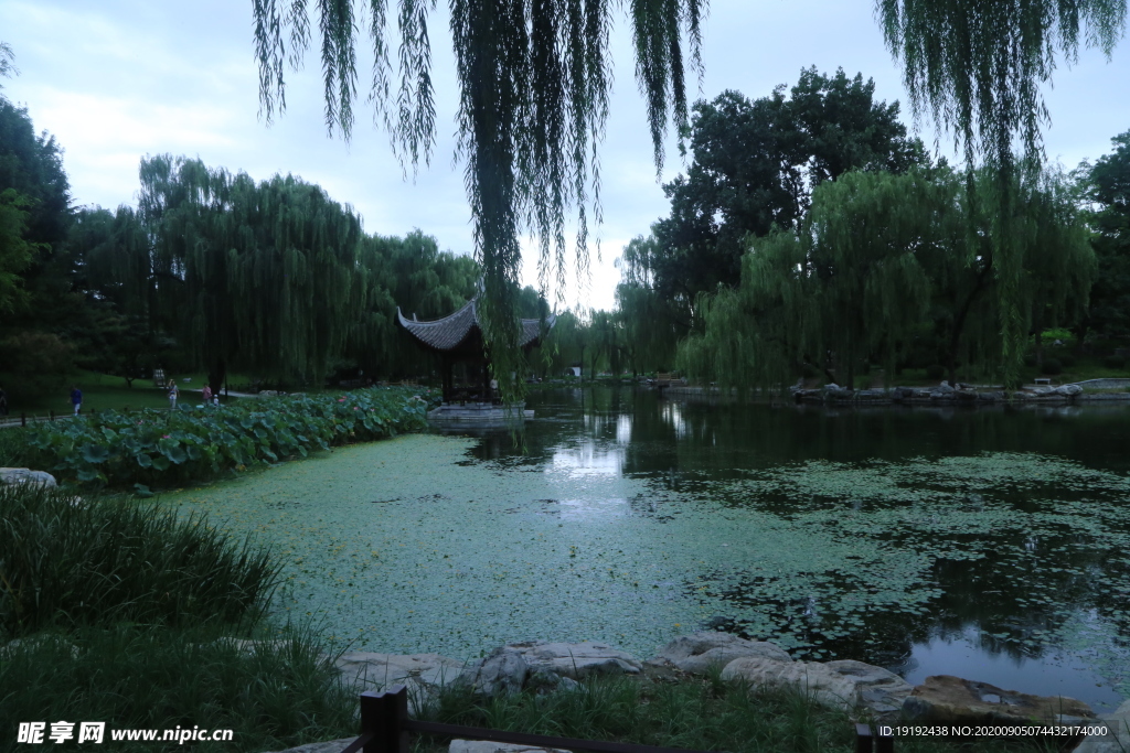 园林风景