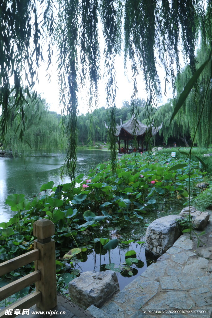 园林风景