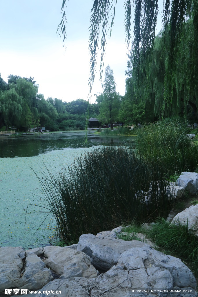 园林风景