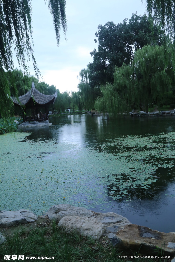 园林风景