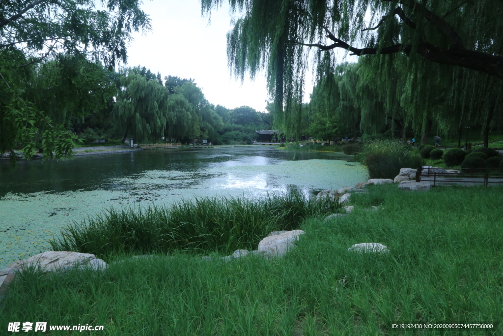 园林风景