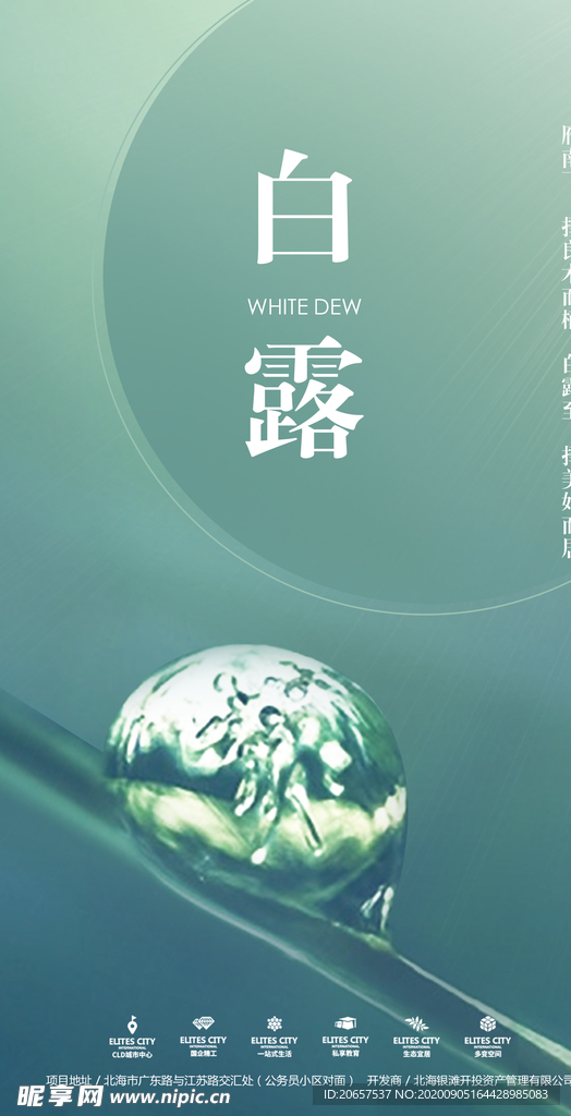 白露海报