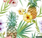 水果和植物