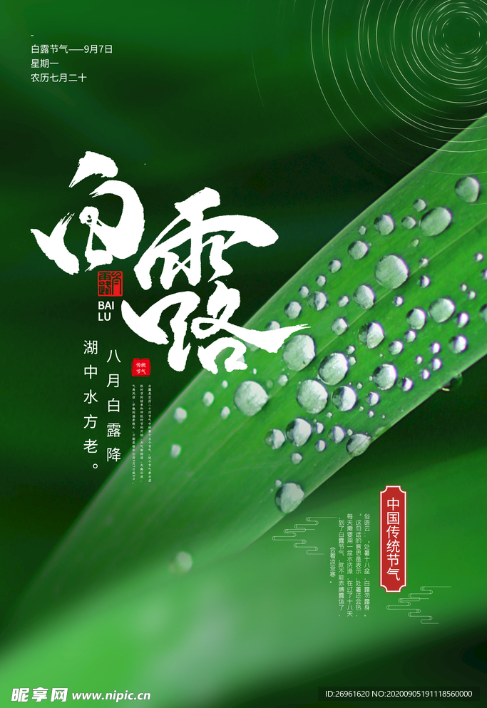 白露