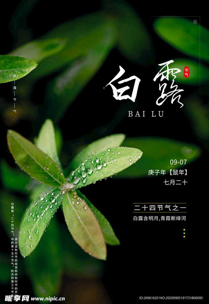 白露
