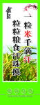 节约粮食 光盘行动海报 倡导节