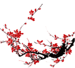 装饰素材