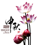 装饰素材