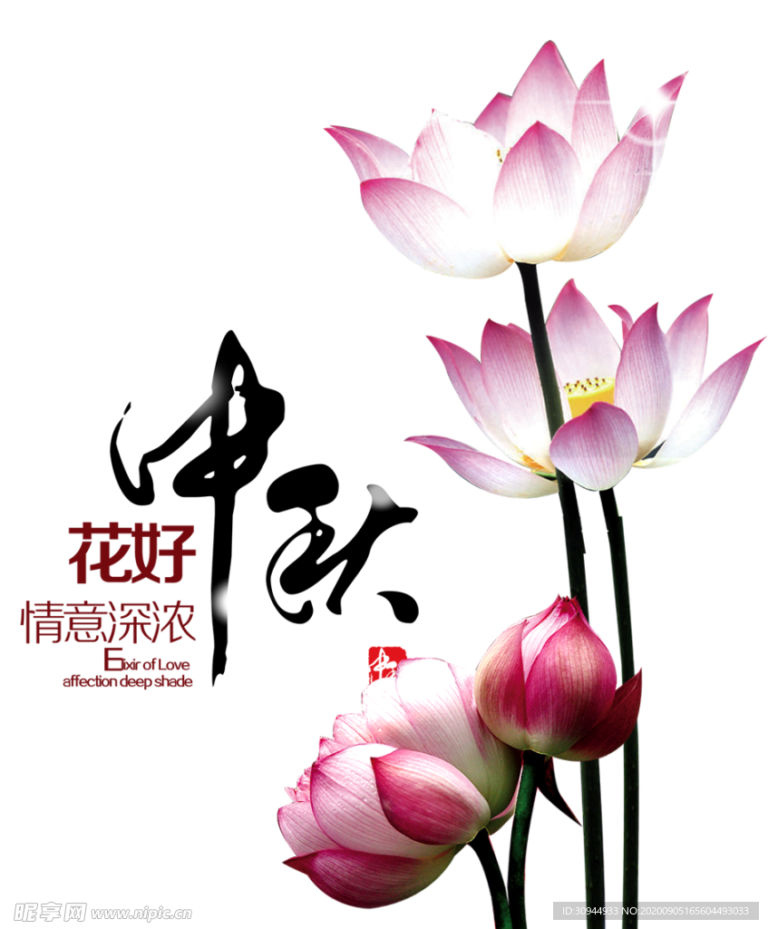 装饰素材