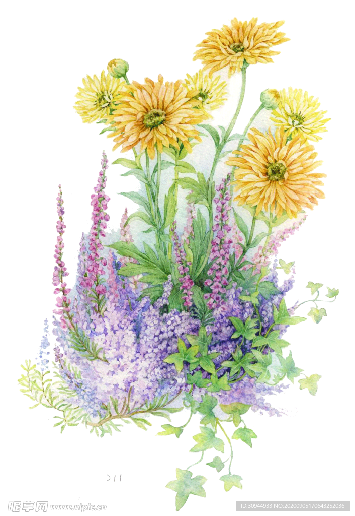 水墨菊花