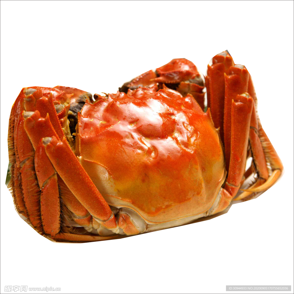 装饰素材