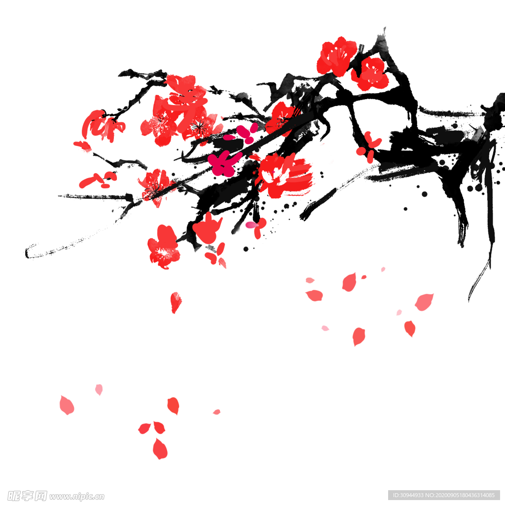 梅花素材