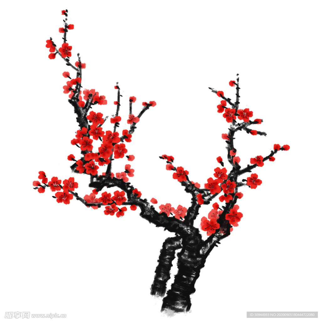 梅花素材