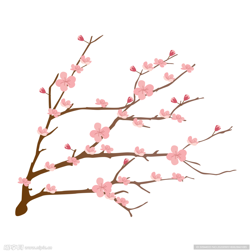 梅花素材