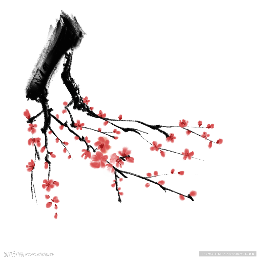 梅花素材