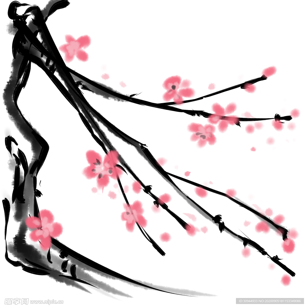 梅花素材