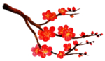 梅花素材