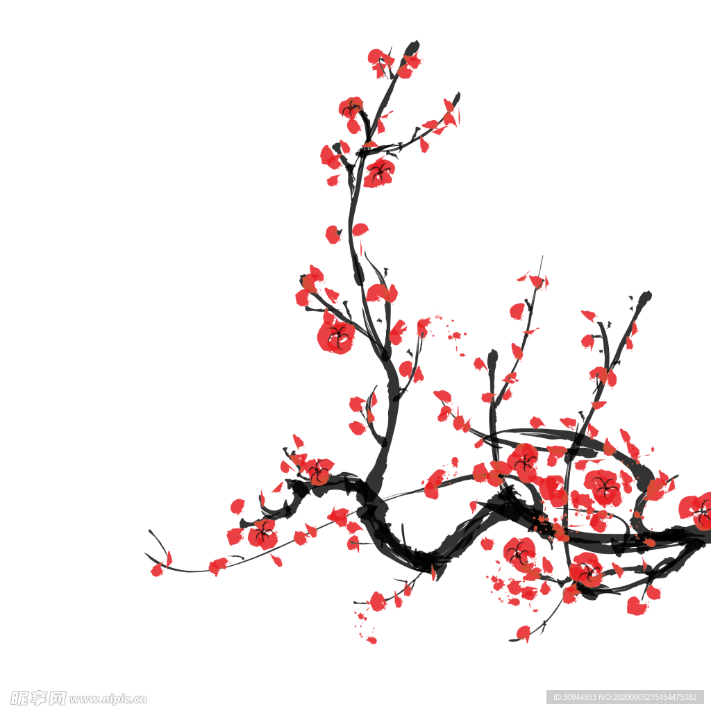 梅花素材