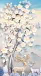花开富贵装饰画