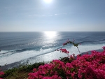 巴厘岛海浪
