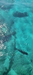 巴厘岛海浪