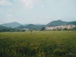 田园风光